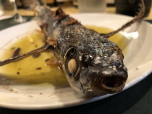 CDE6FFC4-B02B-4273-9A04-7A241D0EED4B